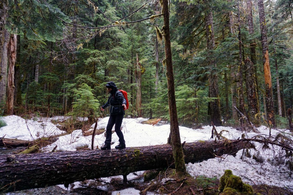 Woman in wet weather hiking gear walks along fallen log in snowy forest