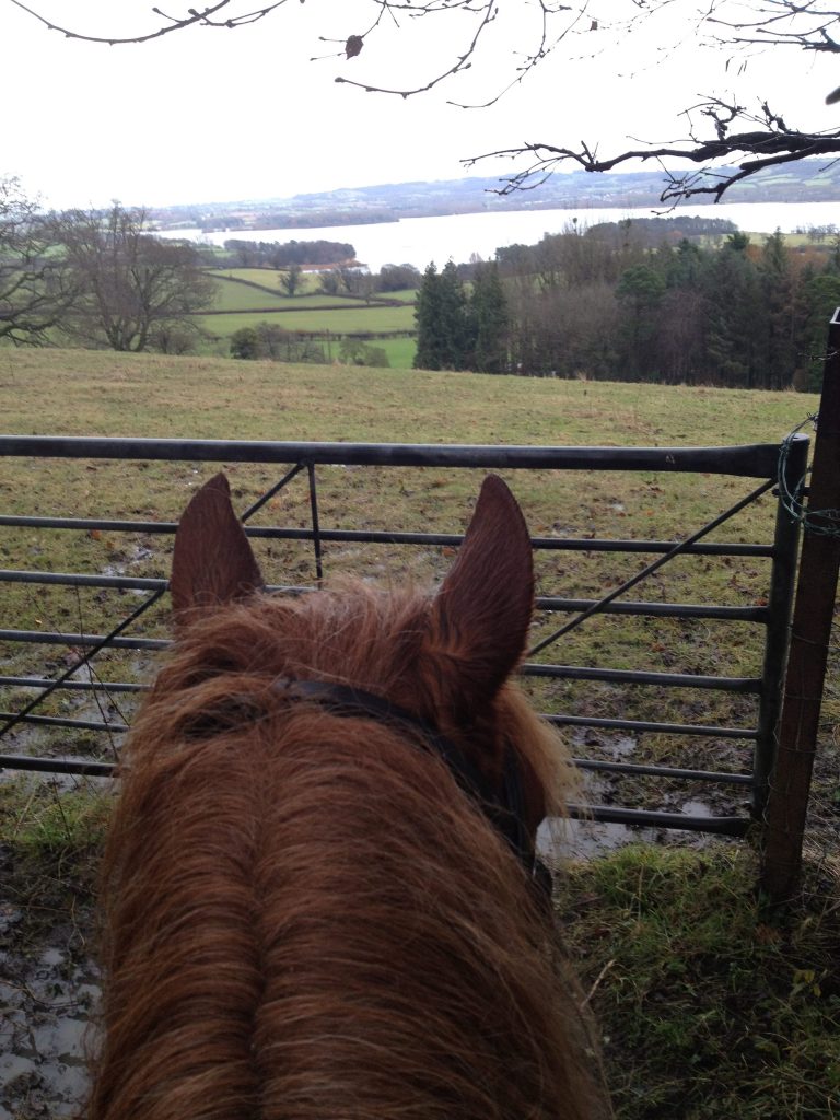 Horses ears with lake, gate and fields in the background