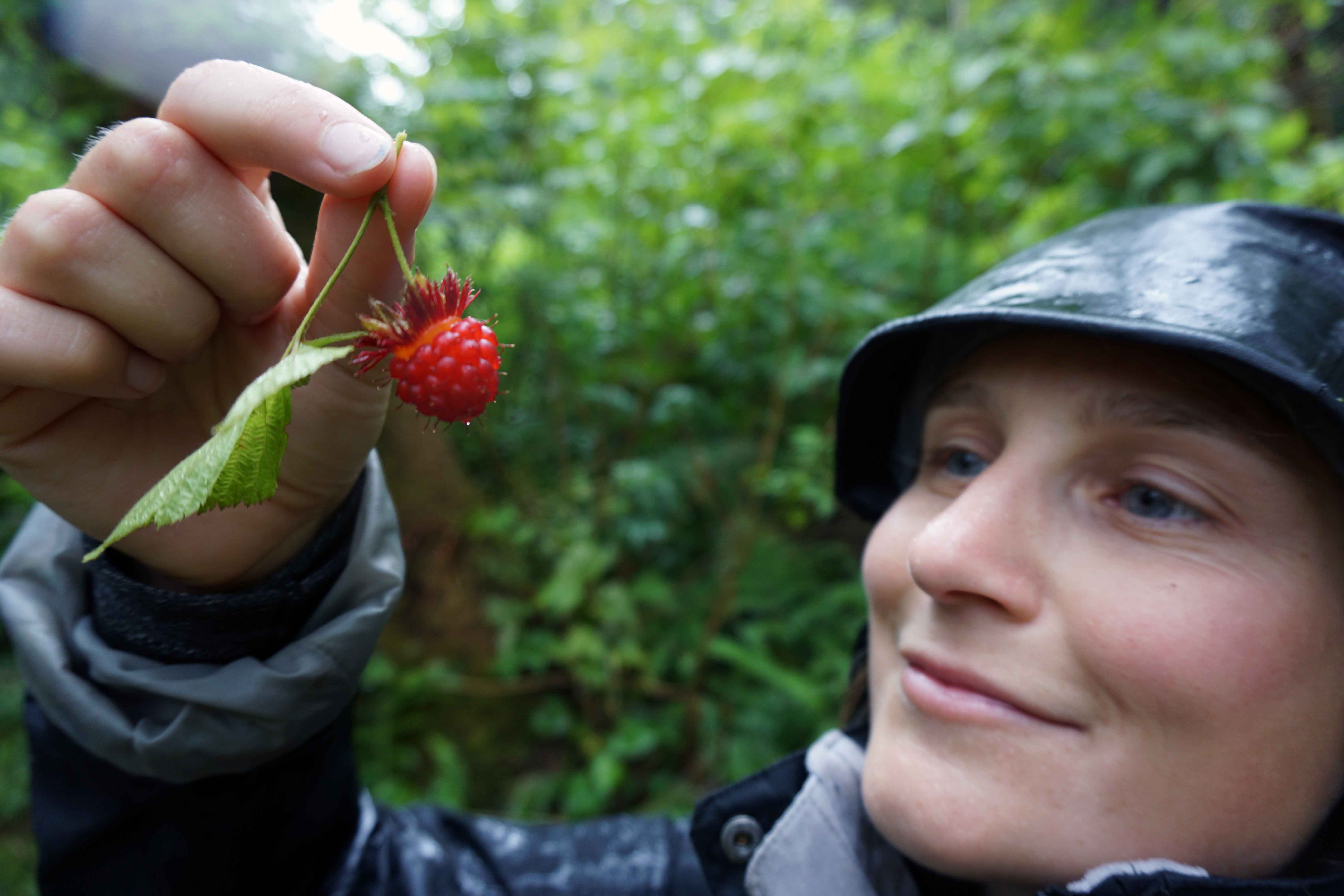 Woman holds up freshly picked berry