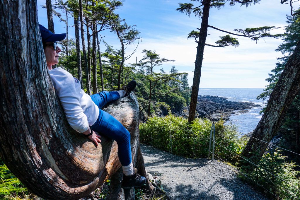 Woman sits on tree looking out to sea