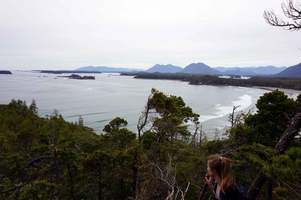 Woman looks across forest and sea from high vantage point