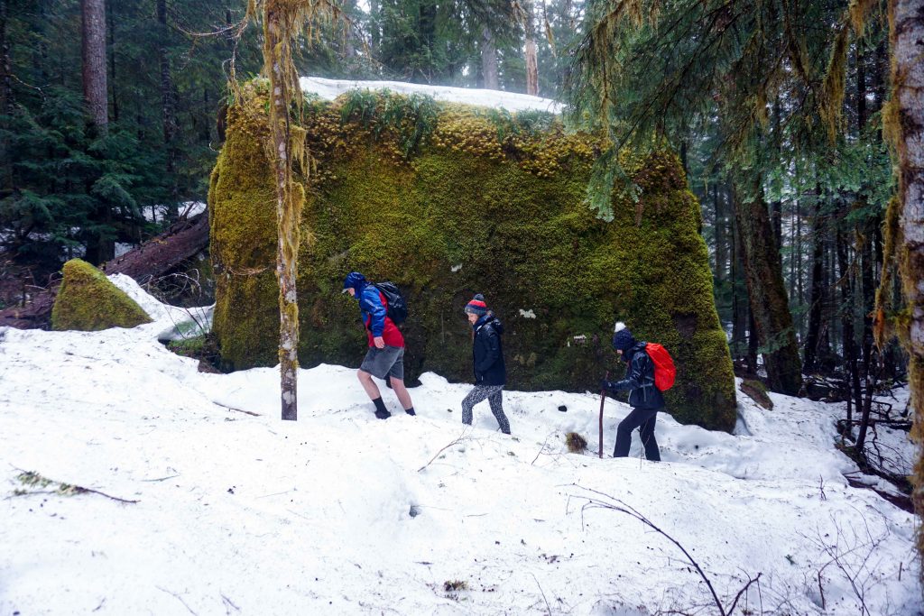 Three people hike through snow