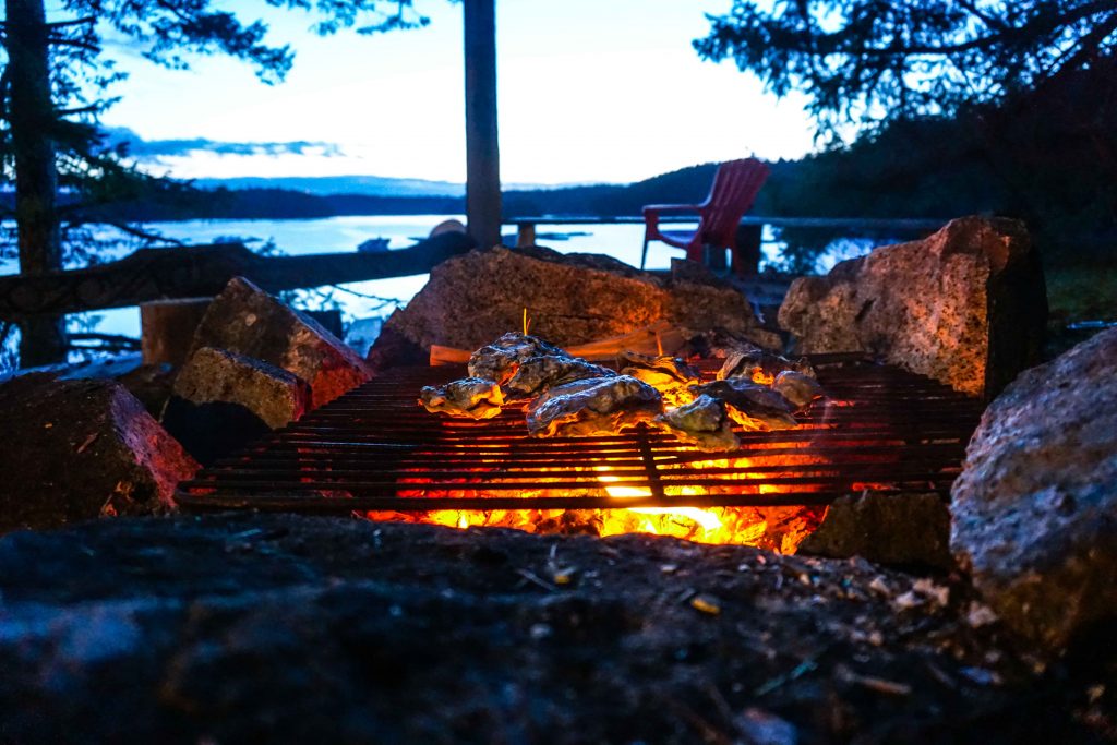 Oysters grill over an outdoor fire pit