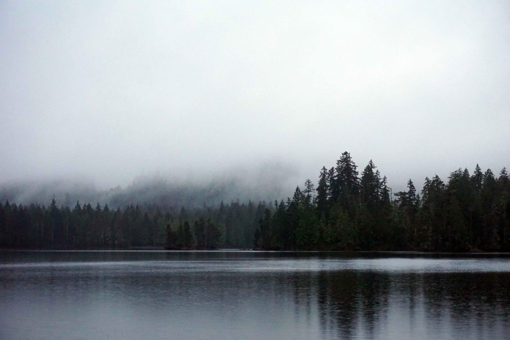 Lake surrounded by trees with low lying cloud