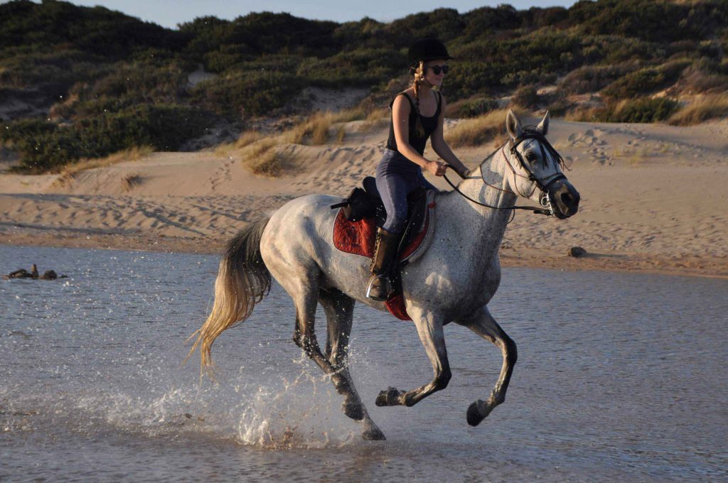 Horse and rider canter through water