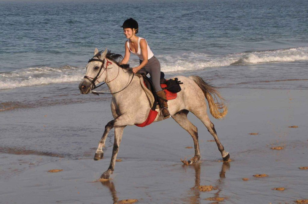 Horse and rider gallop along beach