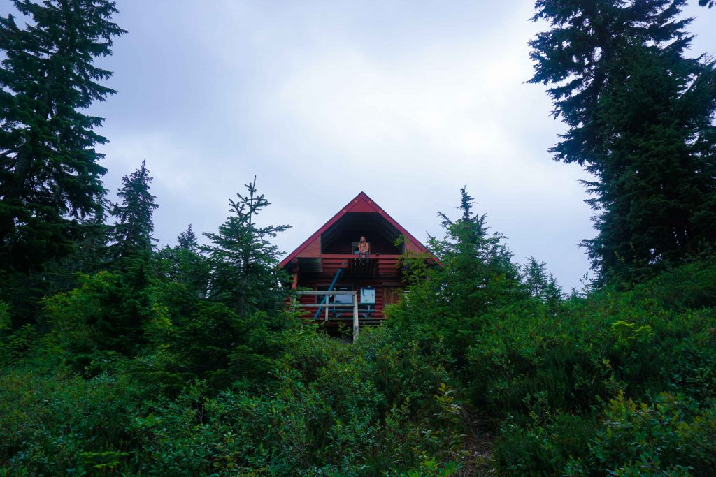 Backcountry cabin in the forest