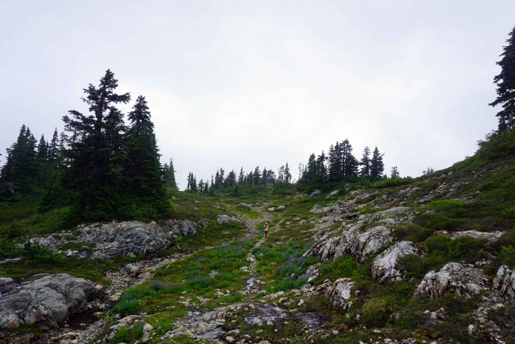 Alpine landscape with cabin