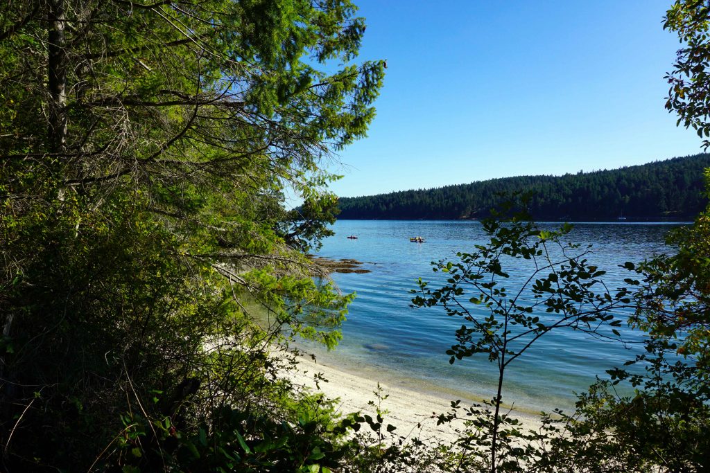 white shell beach