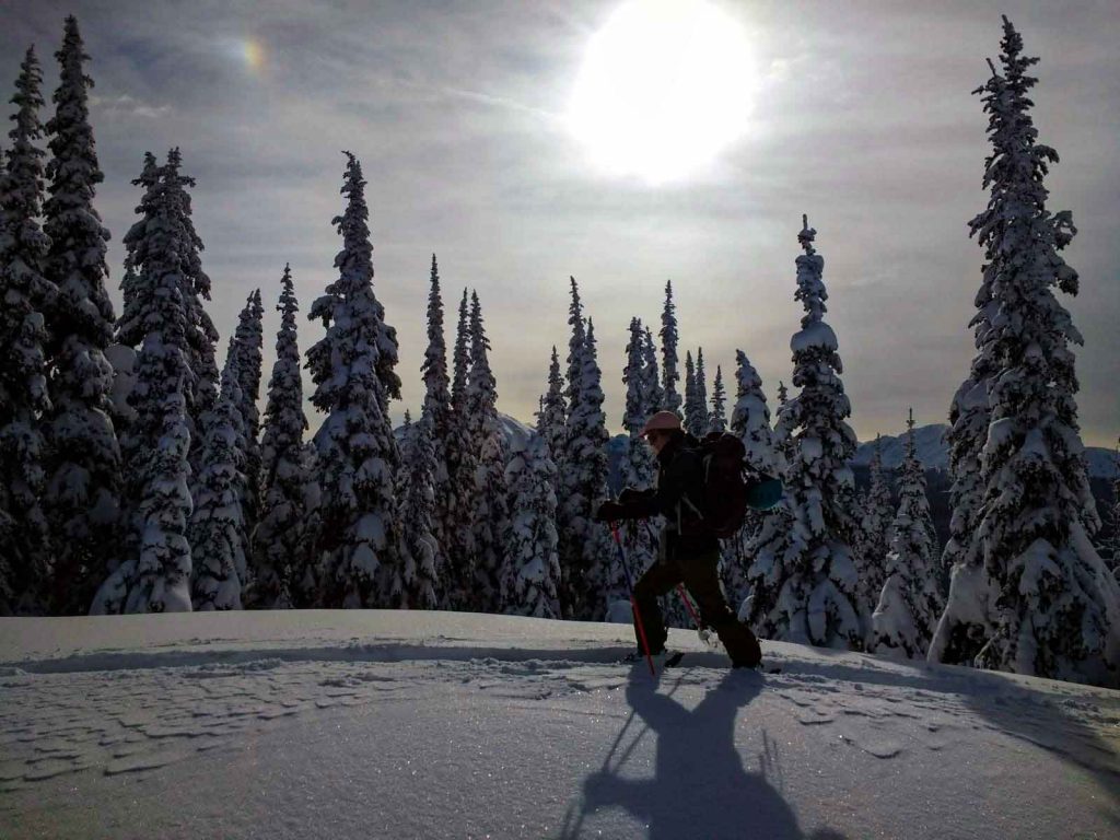 Woman walks on skis along snowy ridge