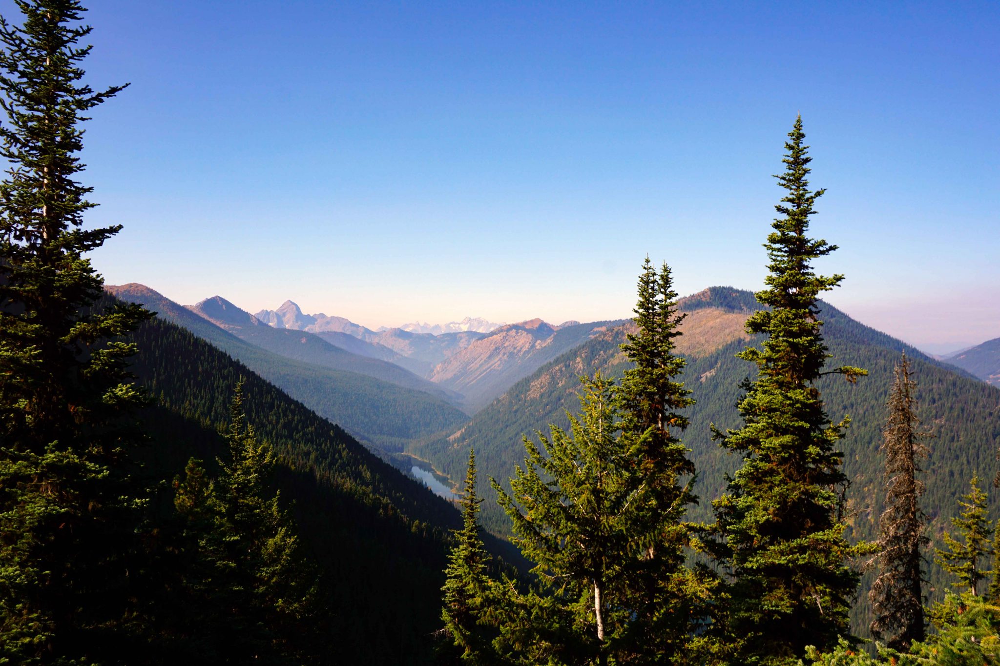 Frosty Mountain Golden Larches Hike | Manning Provincial Park