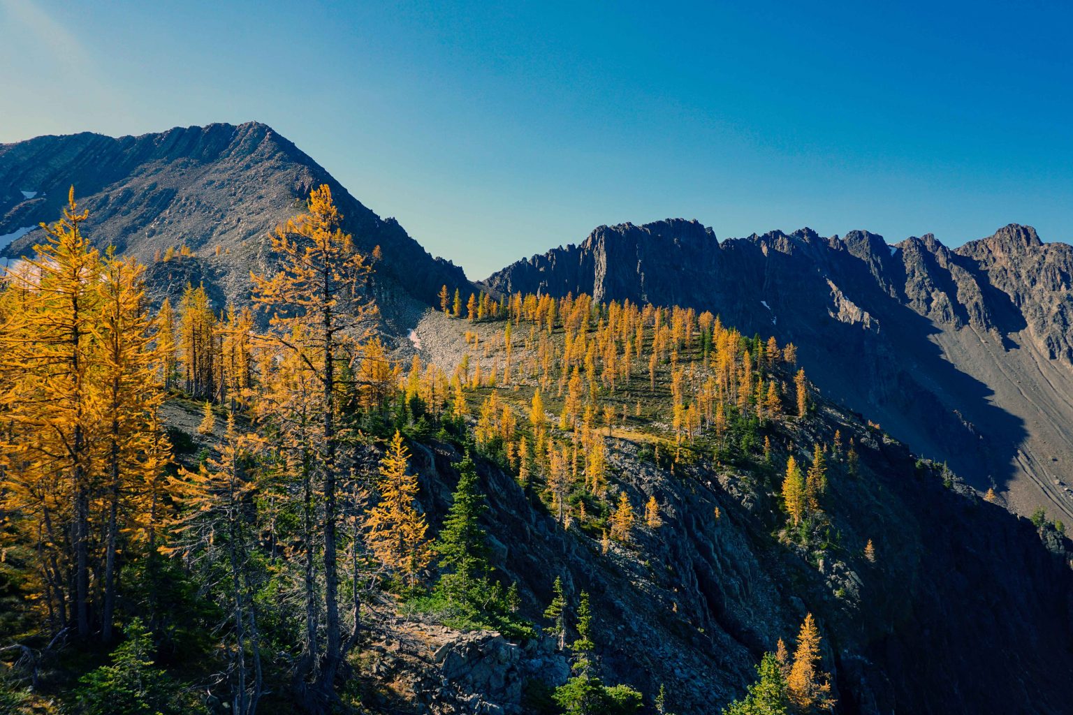 Frosty Mountain Golden Larches Hike | Manning Provincial Park