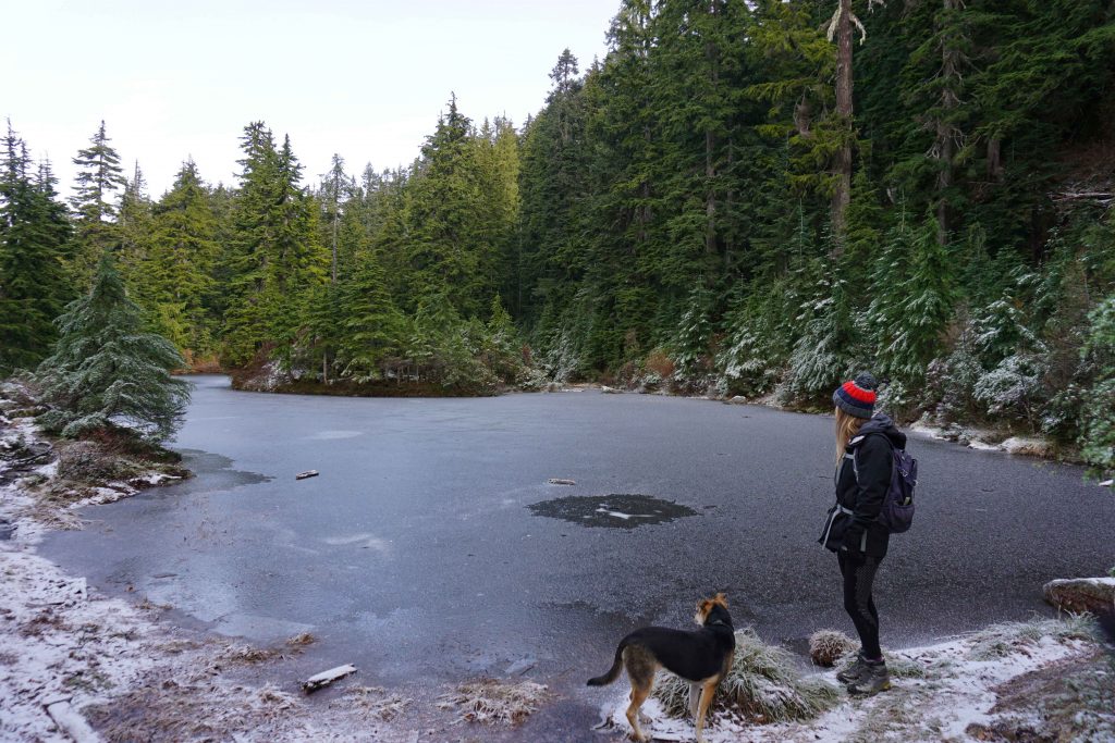 Woman and dog stand by nearly frozen lake