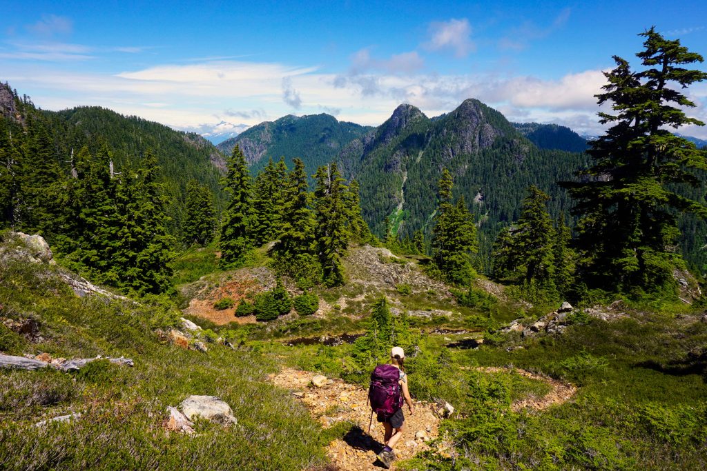 Woman hikes through alpine meadow with purple backpack