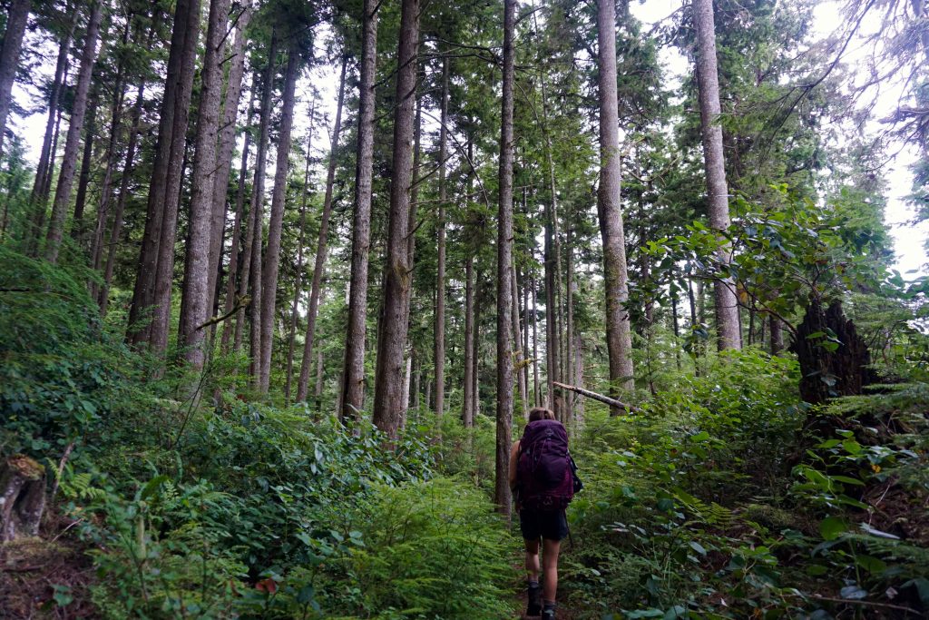 Woman hiking through forest