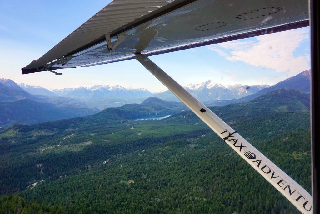 View from a floatplane window as it flies over a forest