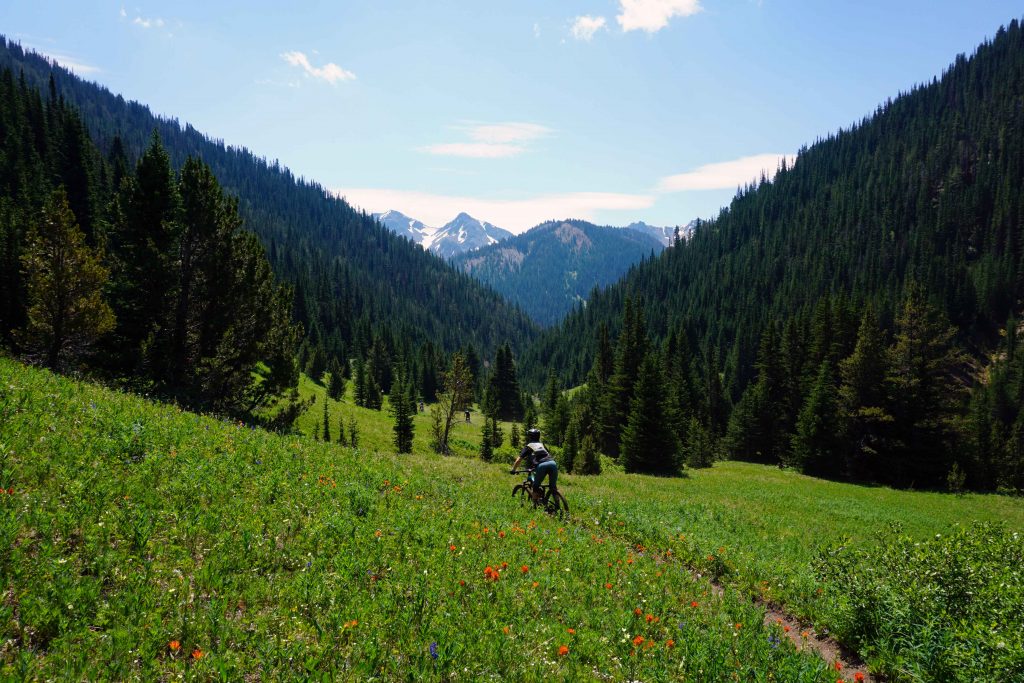 Mountain biker descends through alpine meadow