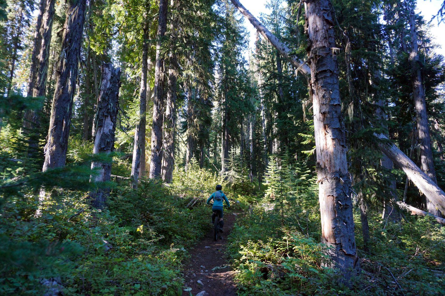 Mountain Biking The Seven Summits Trail In Rossland